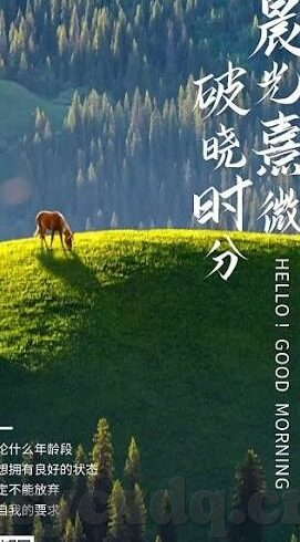 精品成人毛片一区二区-成人娱乐的灰色地带，一区二区精品毛片之谜