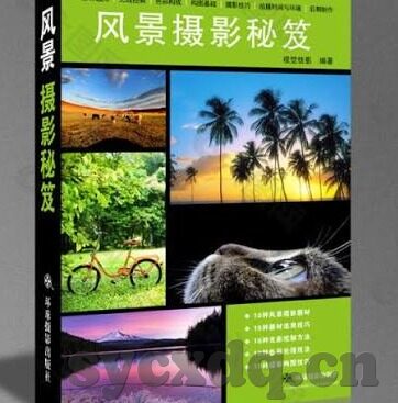 麻豆传媒在线观看视频在哪看-解锁娱乐新窗口，探寻麻豆传媒视频的观看途径