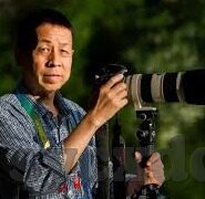 麻豆精品视频在线观看-麻豆精品视频在线展映——精彩纷呈的视听盛宴